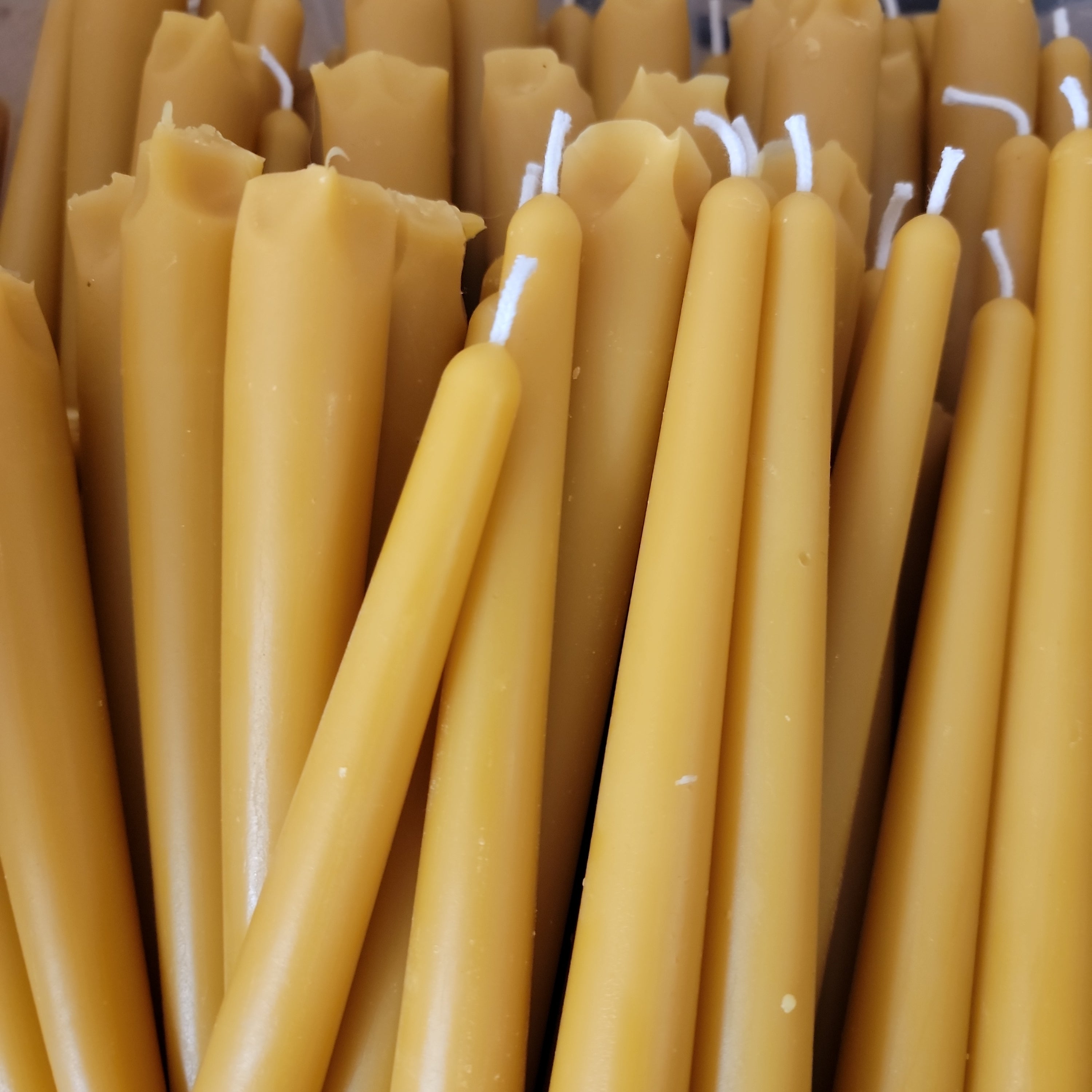 8" Traditional Tapers | Beeswax Candles