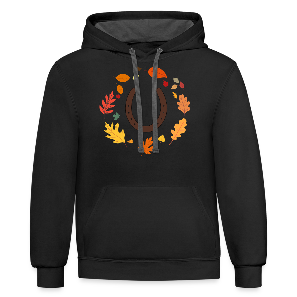 Fall Horseshoe Hoodie - black/asphalt