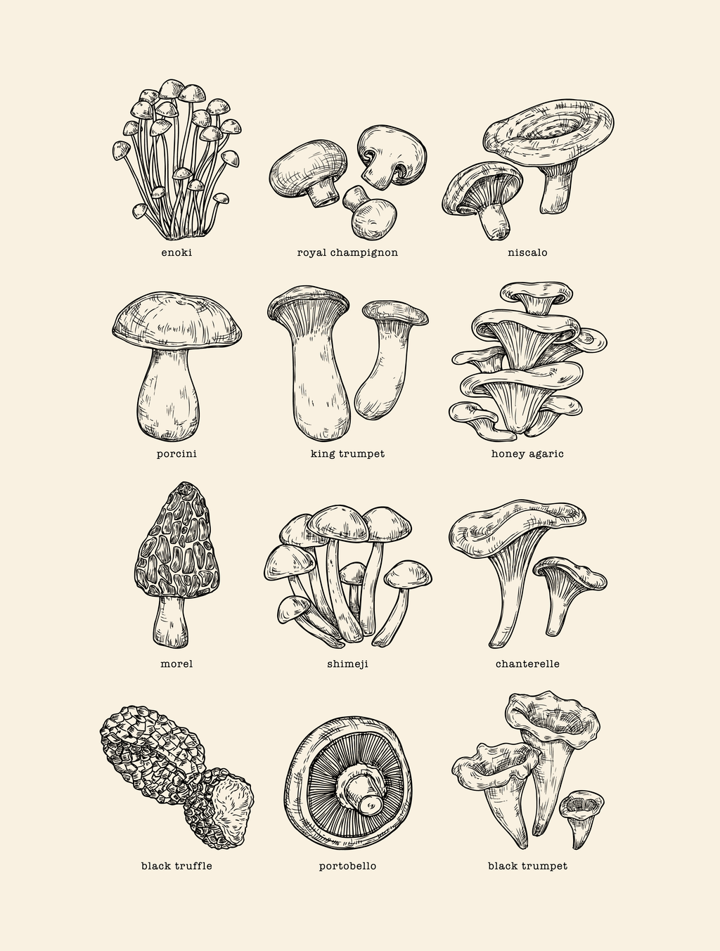 Mycology · Heather T-Shirt