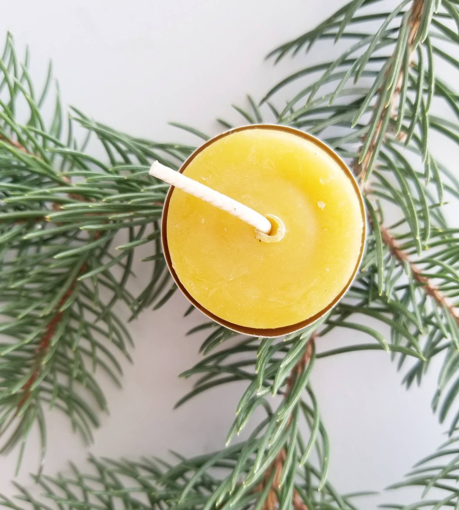 Classic Tealights - 6 or 24 pack | Beeswax Candles