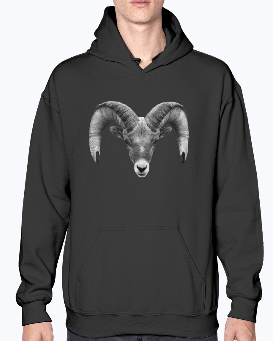 Bighorn Sheep, Wyldlife for Tomorrow, Moss Apparel, Hoodie