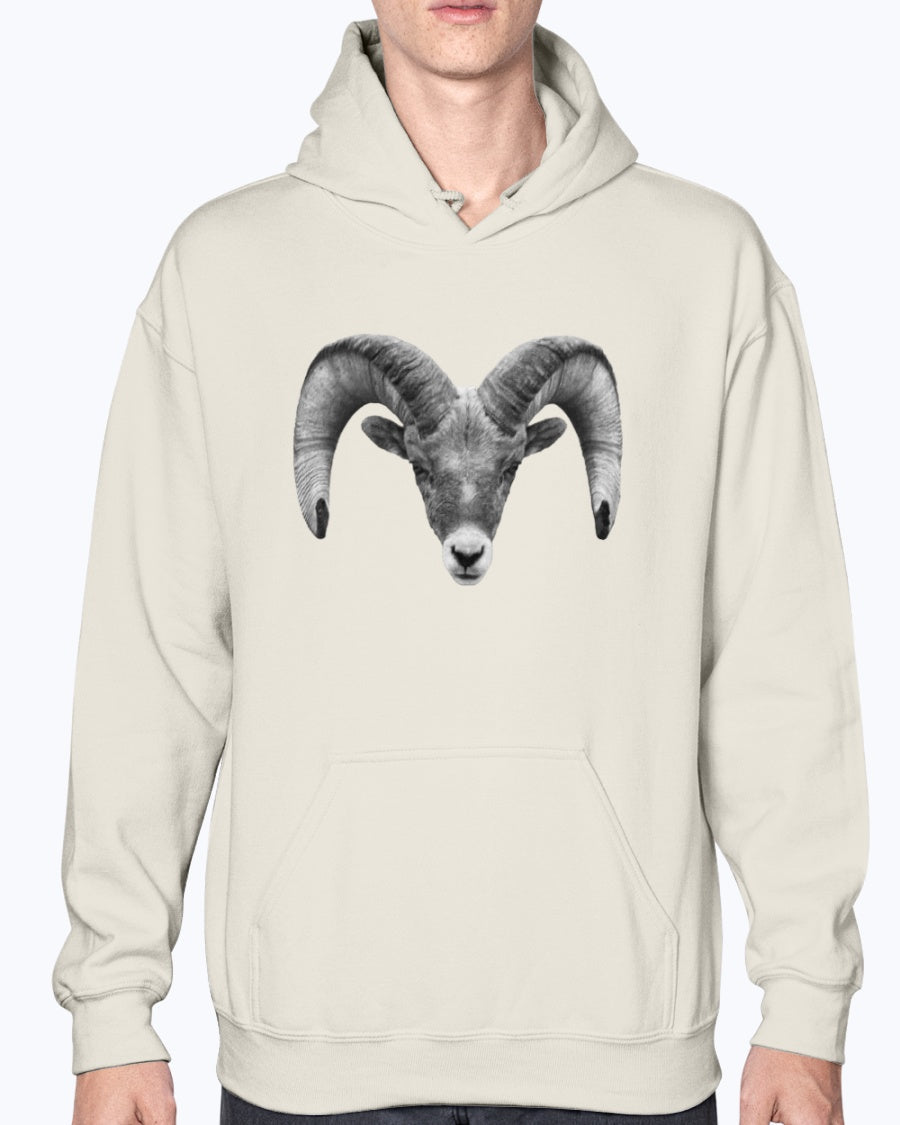 Bighorn Sheep, Wyldlife for Tomorrow, Moss Apparel, Hoodie