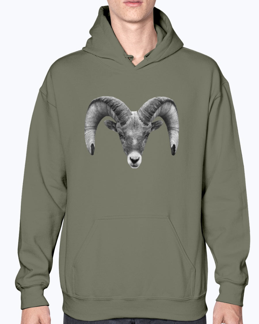 Bighorn Sheep, Wyldlife for Tomorrow, Moss Apparel, Hoodie